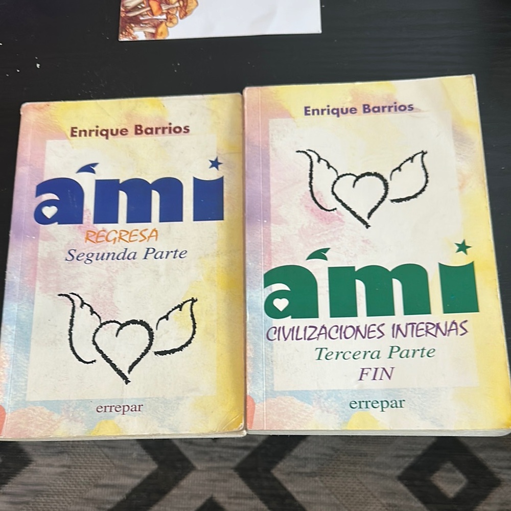 Ami Book Set - Multicolor
